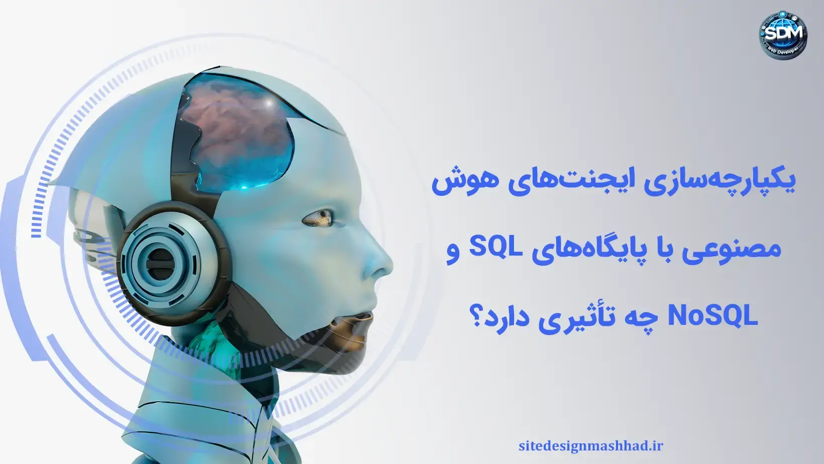 یکپارچه‌سازی ایجنت‌های هوش مصنوعی با پایگاه‌های SQL و NoSQL چه تأثیری دارد؟